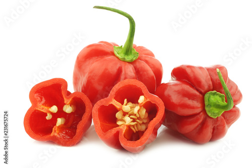 spicy hot red habanero peppers and a cut one on a white background photo