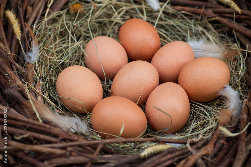 A pile of eggs in the hay in the nest