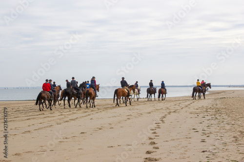 riders on horses on the beach in Renesse  the Netherlands