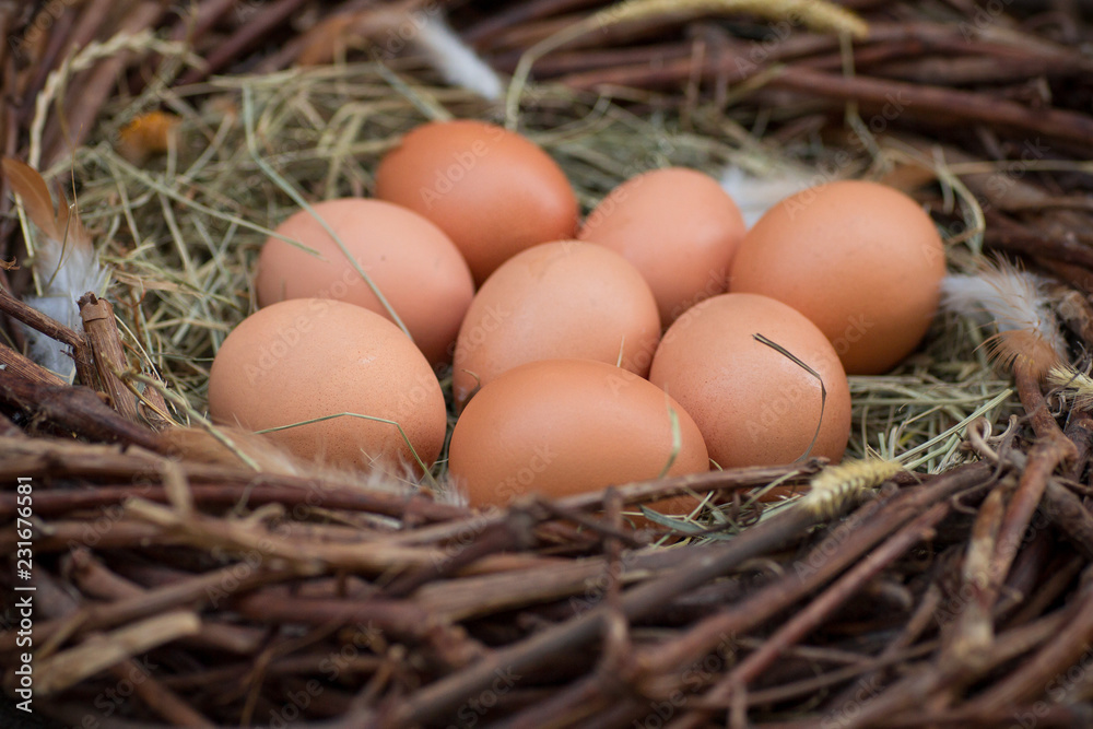 A pile of eggs in the hay in the nest A pile of eggs in the hay in the nest