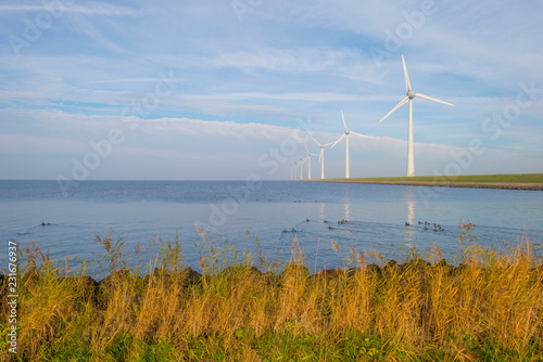Wind turbines on a green dike along a lake in sunlight at fall