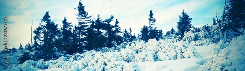 natura zima śnieg lód drzewa niebo  © DEM
