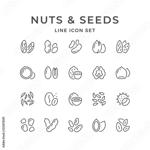 Set line icons of nuts and seeds