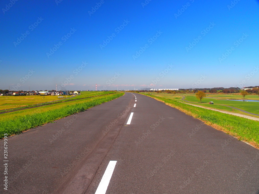 江戸川土手のサイクリング道路