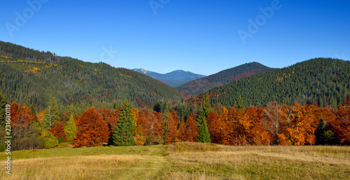 Beautiful autumn mountain landscape with bright trees. Carpathian, Ukraine, Europe.