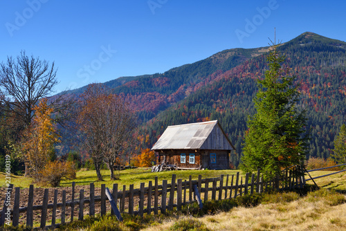 Fototapeta Naklejka Na Ścianę i Meble -  Beautiful landscape with old wooden hut in the Carpathians mountains. Autumn sunny day.