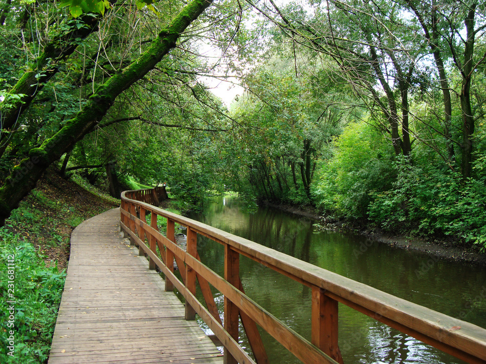 Obraz premium Planked footway through a shady city park along the river
