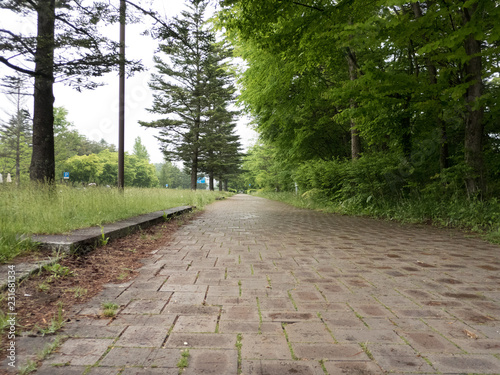 軽井沢の遊歩道