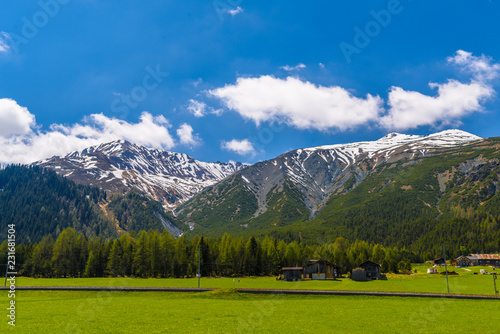 Alps Mountains covered with pine forest, Davos, Graubuenden, Switzerland