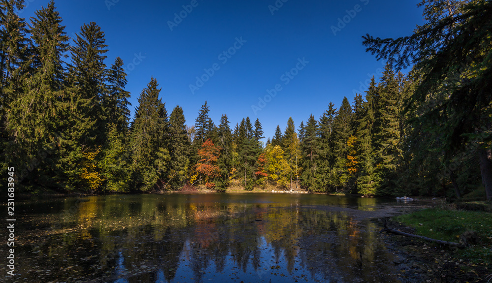 Autumn lake on Czech Moravia highland near Zdar nad Sazavou with blue sky, water and colorful trees