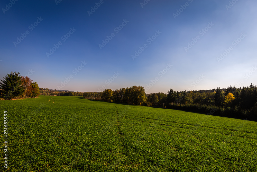 Green field on the edge of forest with deep blue sky near Hamry nad Sazavou, Czech Republic Green field on the edge of forest with deep blue sky near Hamry nad Sazavou, Czech Republic