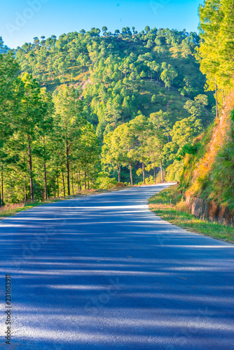 Empty Road in Himalayas - Jauljibi, Uttarakhand, India photo