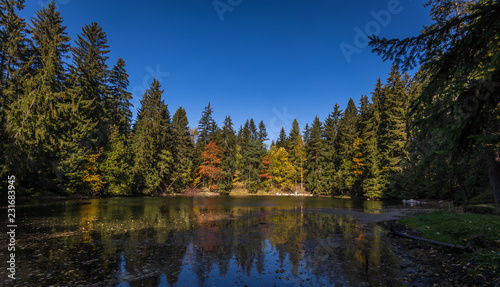 Autumn lake on Czech Moravia highland near Zdar nad Sazavou with blue sky, water and colorful trees