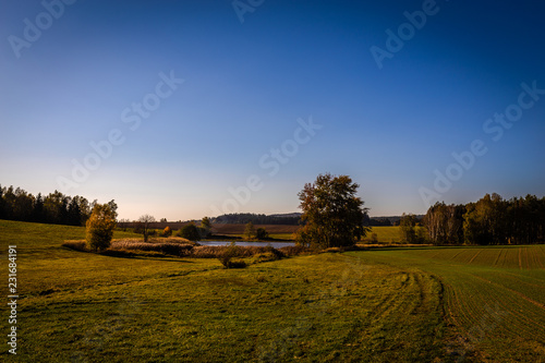Scenic view of small pond in the green meadow with a few trees, autumn in Czech Moravian highlands near Hamry nad Sazavou, Czech Republic