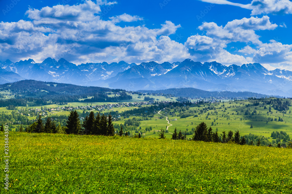 View of Tatra mountains in spring.