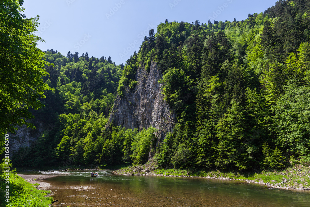 Naklejka Skręt rzeki Dunajec w Pieninach, Polska i Słowacja
