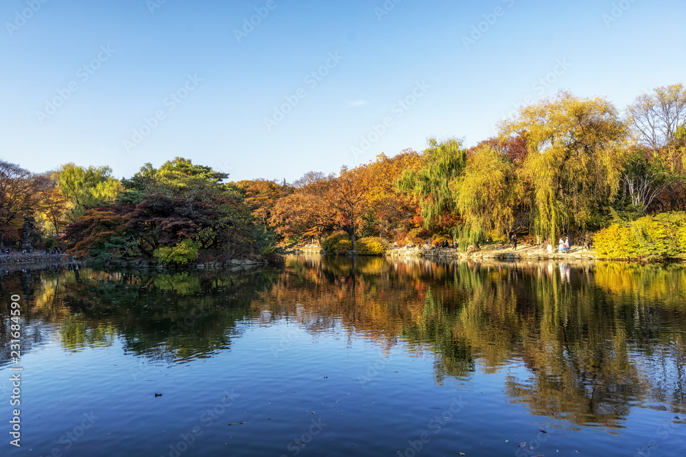 reflections in changgyeong palace reflections in changgyeong palace