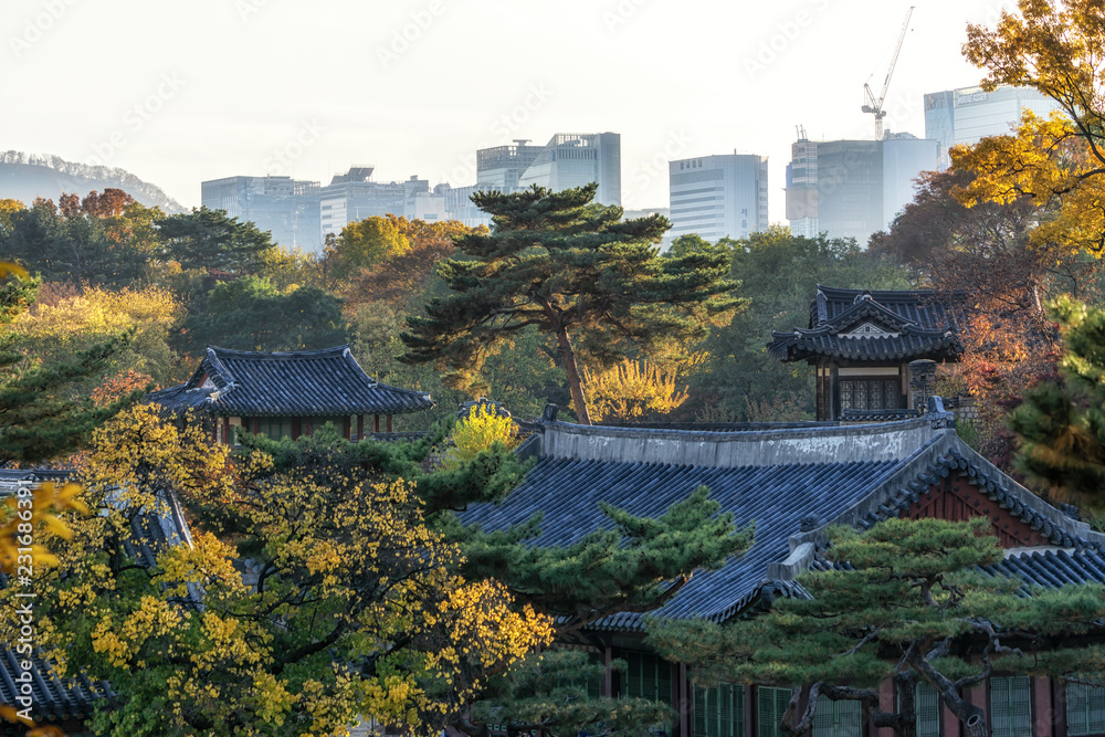Changgyeonggung palace in autumn