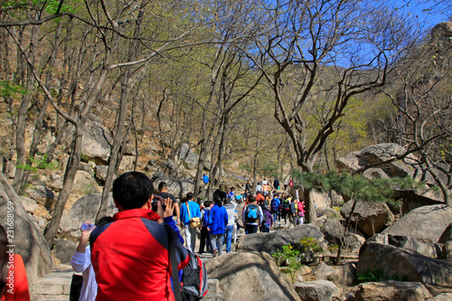 Wall Mural Tourists visit Panshan Mountain scenic spot, china