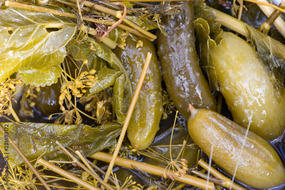 Pickled cucumber in marinade. Closeup.