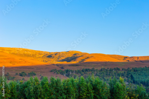 Beautiful landscape scenery of hills and forest at Cargorms National Park
