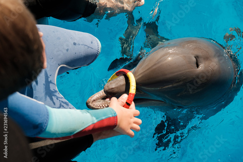 boy playing with bottlenose dolphins in blue water. Dolphin Assisted Therapy