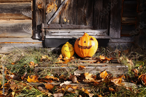 Funny Halloween pumpkins in autumn park with fall leaves