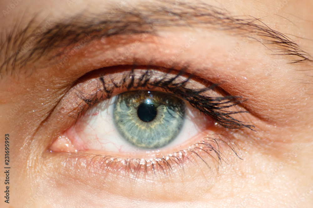 Obraz premium perfect blue green gray eye macro in a sterile environment and perfect vision, vision, vision for the future and healthy lifestyle concept. look exactly and directly at the target.