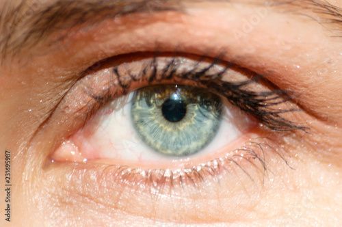 Fototapeta Naklejka Na Ścianę i Meble -  perfect blue green gray eye macro in a sterile environment and perfect vision, vision, vision for the future and healthy lifestyle concept. look exactly and directly at the target.
