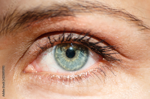 perfect blue green gray eye macro in a sterile environment and perfect vision, vision, vision for the future and healthy lifestyle concept. look exactly and directly at the target.