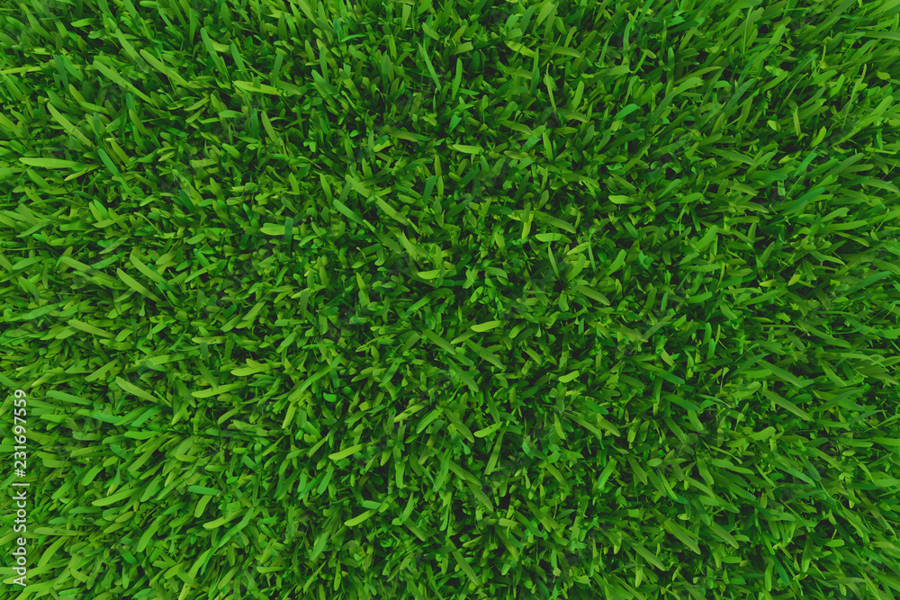 Green grass. natural background texture. high resolution. 3d rendering Green grass. natural background texture. high resolution. 3d rendering