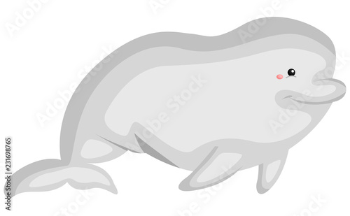 a vector of a cute beluga whale photo