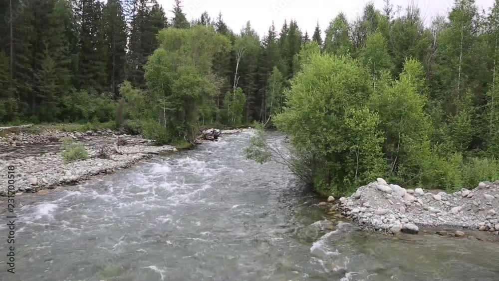 Fast river, view from the bridge. A small fast river with clear water, with trees on the shore. Fast river, view from the bridge. A small fast river with clear water, with trees on the shore.
