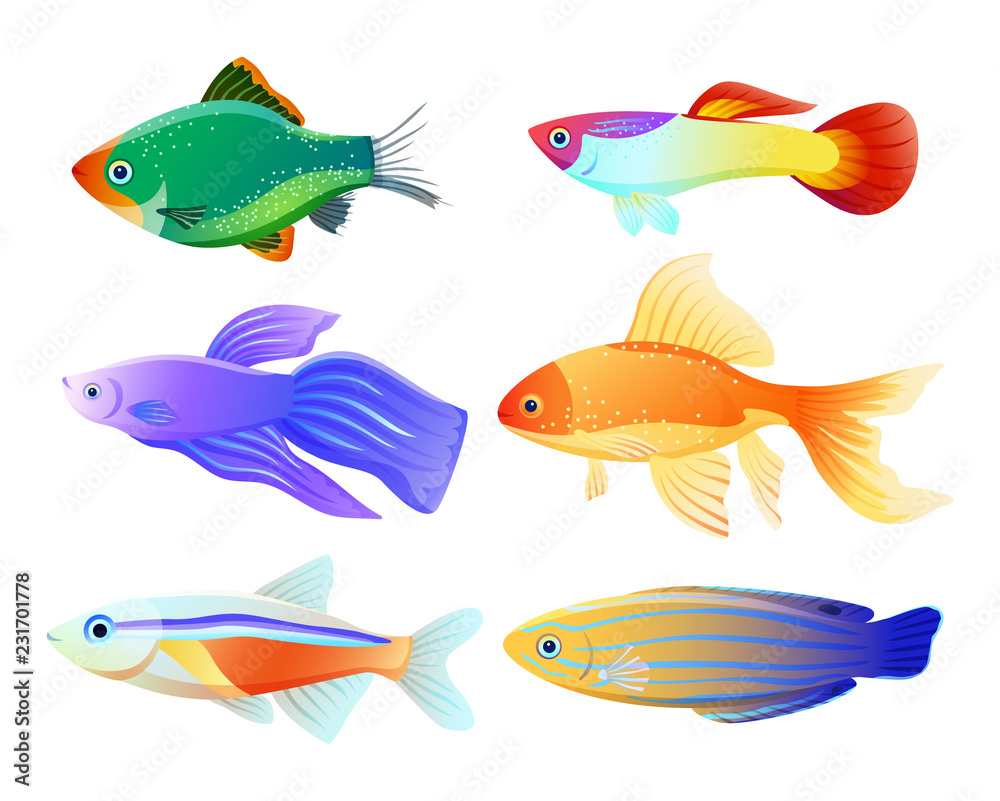 Aquarium Fish Specie Cartoon Illustration Set
