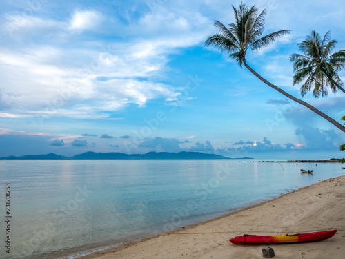 Coconut tree on sand beach with seascape view in Samui island, Thailand, summer season © jeafish