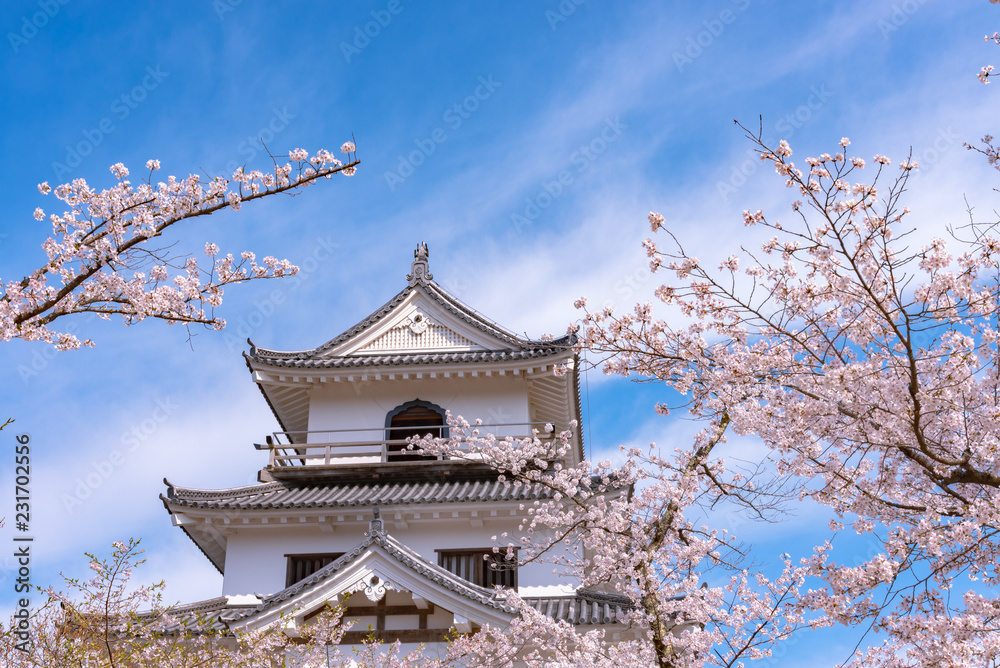 Shiroishi castle with Cherry blossoms and blue sky Shiroishi castle with Cherry blossoms and blue sky