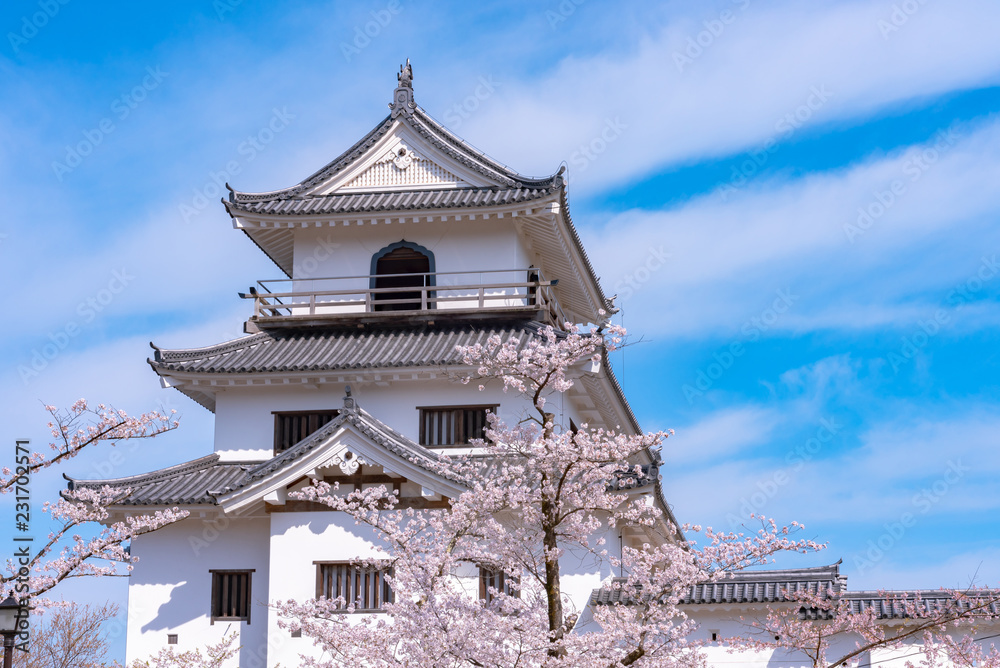 Shiroishi castle with Cherry blossoms and blue sky