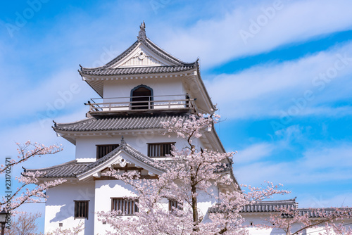Shiroishi castle with Cherry blossoms and blue sky