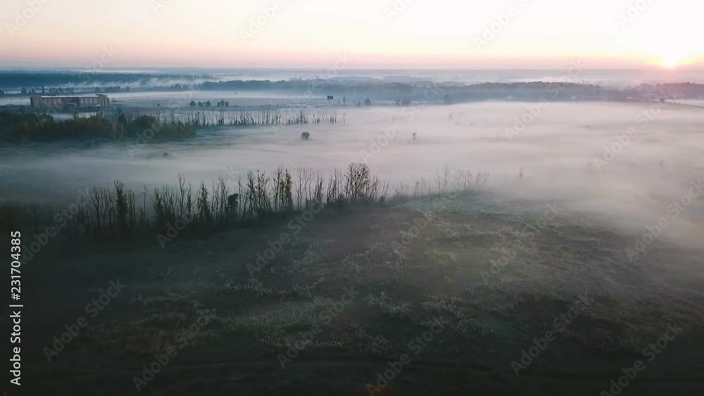 Beautiful foggy countryside cold nature. Field with plants in hoarfrost. Lonely trees. Aerial drone video footage. Top view hypnotizing nature Beautiful foggy countryside cold nature. Field with plants in hoarfrost. Lonely trees. Aerial drone video footage. Top view hypnotizing nature