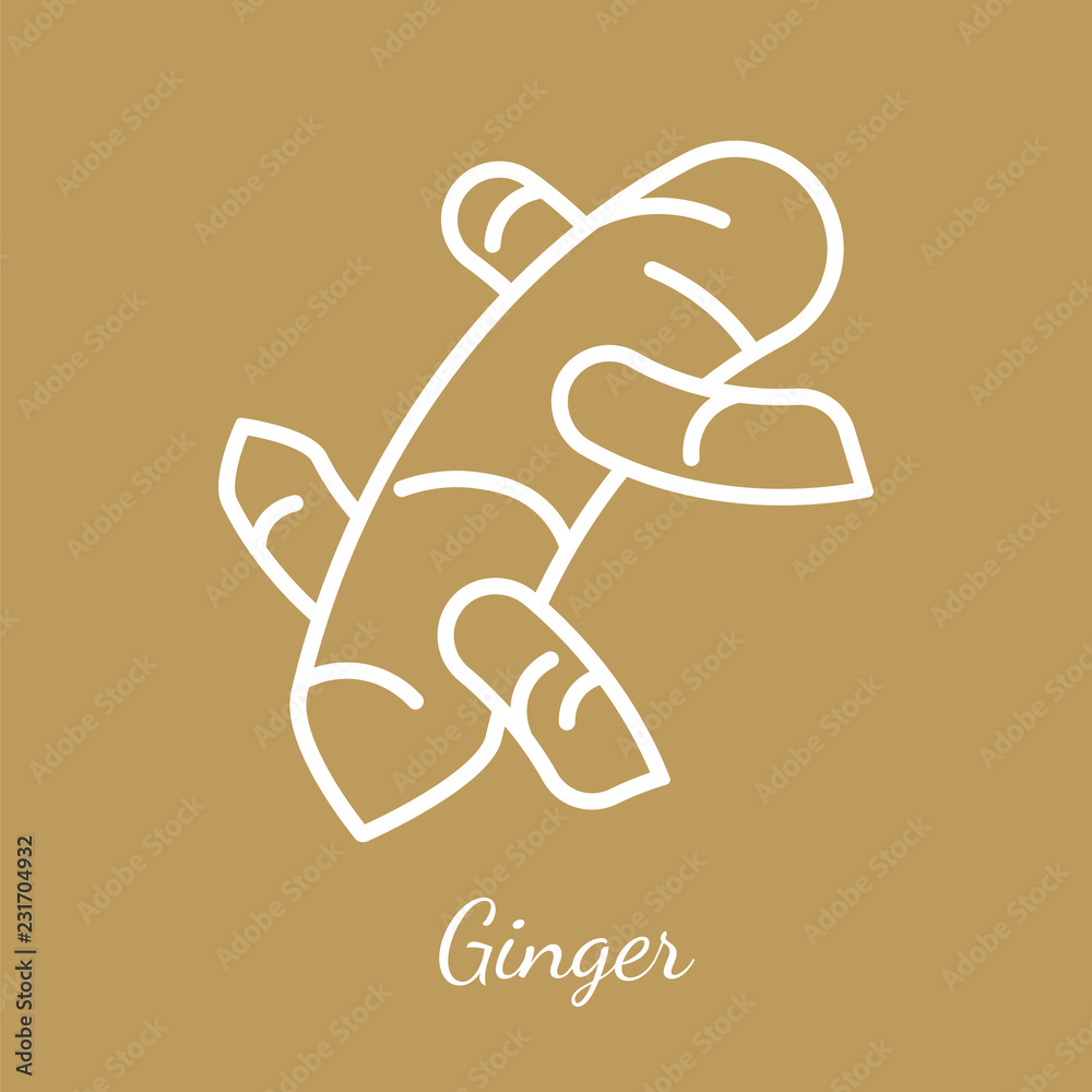 Ginger vector icon Ginger vector icon