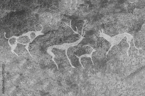 image of ancient animals on the wall of the cave. ancient history, archeology.