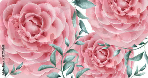 Delicate rose flowers banner watercolor Vector. Beautiful vintage pastel colo...