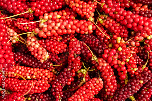 Schisandra chinensis or five flavor berries being sold at Shangri La wet market in Deqen, Yunnan, China. photo
