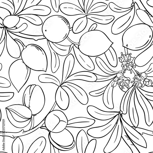 argan vector pattern