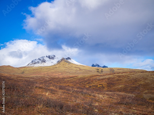 Icelandic landscape with a snowy mountain top on horizon