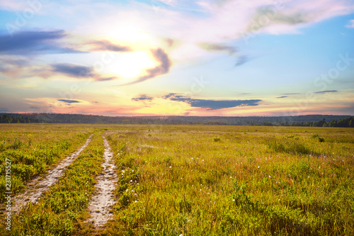 Rural landscape with a road. The road goes beyond the horizon. Sunny summer day