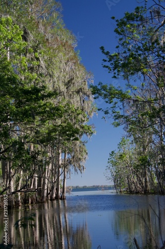 Florida waterway 