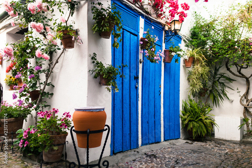 Foto Typical andalusian courtyard in Cordoba, Andalusia Spain