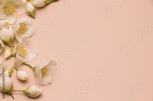 Jasmine flowers on pink wooden background. Frame. Top view