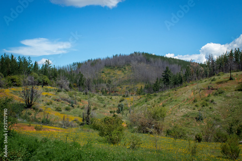 Cerros de Cauquenes